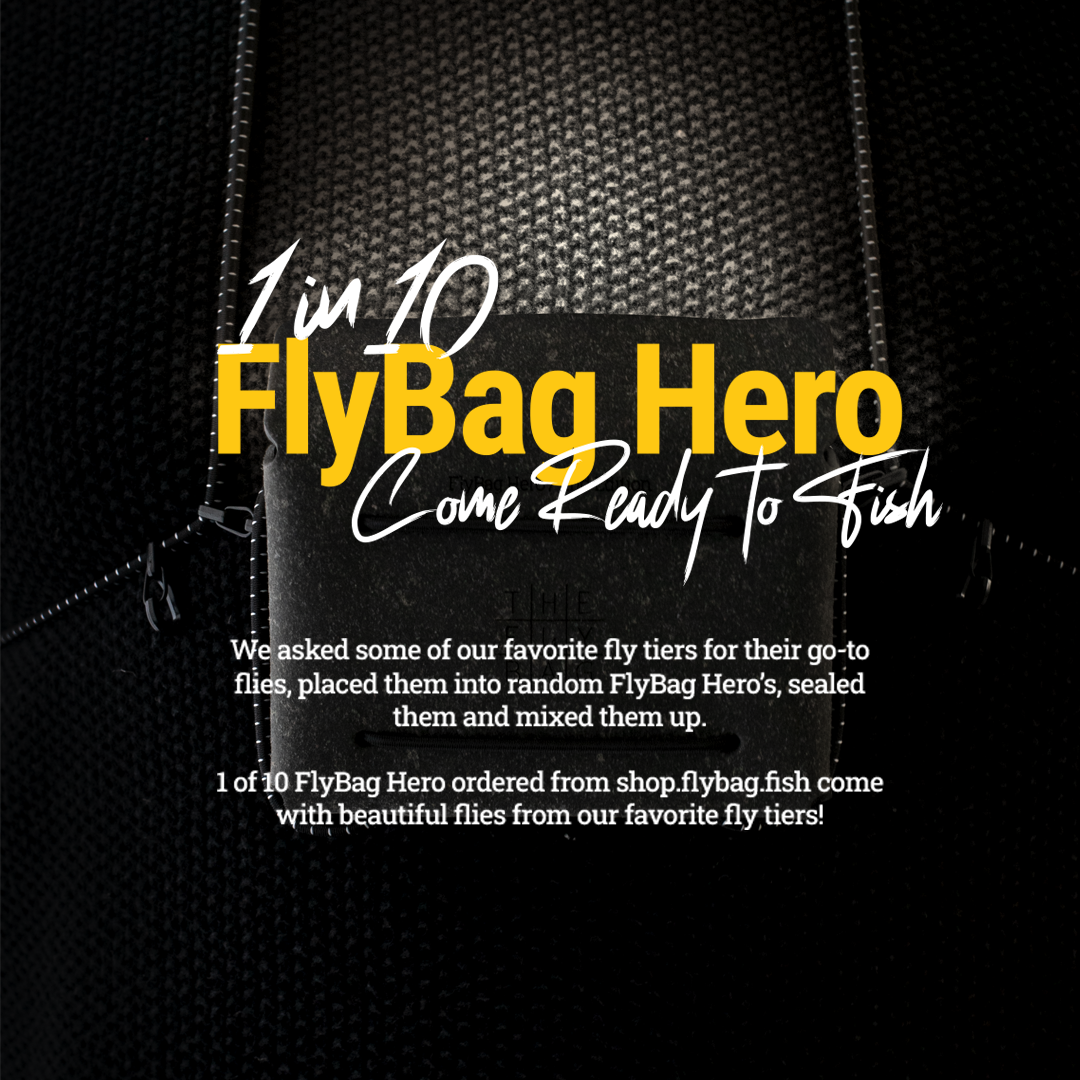 FlyBag Hero